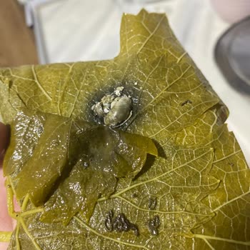 Hakmar Gıda Kazova Markalı Ürünün İçerisinde Böcek Çıkmıştır