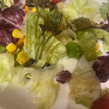 Bursa Özlüce Tavuk Dünyası Hayal Kırıklığı 😞