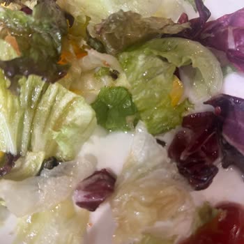 Bursa Özlüce Tavuk Dünyası Hayal Kırıklığı 😞