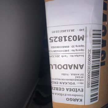 Evidea Rezil Ve İşgüzarlık Görseli