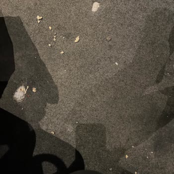 Paribu Cineverse Kirli Ve Pis