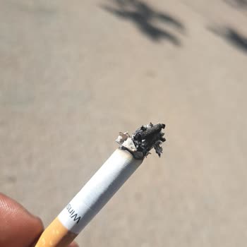JTI Sigaranın İçinde Tütünden Başka Her Şey Var
