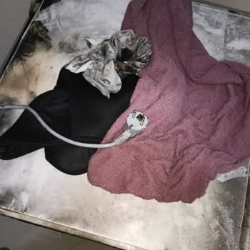 Bosch Bulaşık Makinesi Çalışırken Yandı