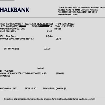 Milli Piyango Online Paramı Göstermiyor