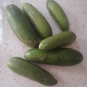 Şok Marketler Bozuk Ürün Teslimatı