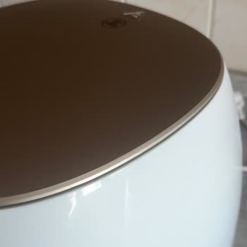Philips Airfryer XXL Üst Kapak Şişmesi