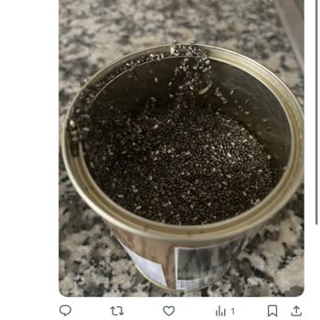 Arifoğlu Chia Tohumumu Satın Aldım Kurt Mu?
