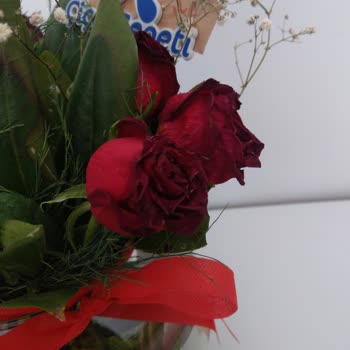 Çiçek Sepeti Hayal Kırıklığı Yaratan Çiçek Gönderimi