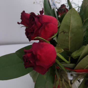 Çiçek Sepeti Hayal Kırıklığı Yaratan Çiçek Gönderimi