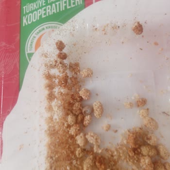 Tarım Kredi Kooperatif Market Sümüklü Böcekli Dut Kurusu