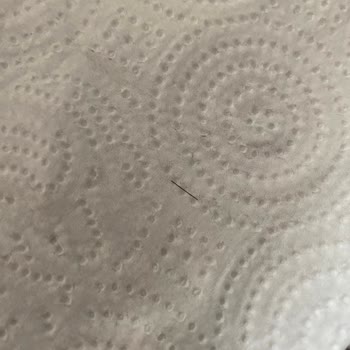 Emin Salamdan Kıl Çıktı!