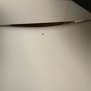 BTC Mobilya Ürünü İle İlgilenmiyor