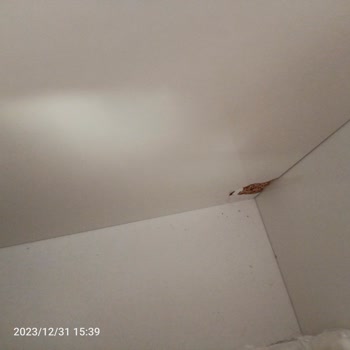 Modalife Ürününün Arkasında Durmuyor