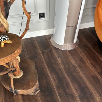 Hane Temizlik Ev Temizliği Hizmeti Hakkında Şikayet