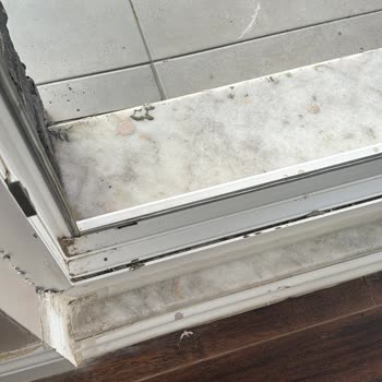 Hane Temizlik Ev Temizliği Hizmeti Hakkında Şikayet