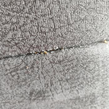 Trabzon Araklı 2.El Ev Ofis Eşya ve Antikacı'dan Aldığım Bazadan Tahtakurusu Çıktı