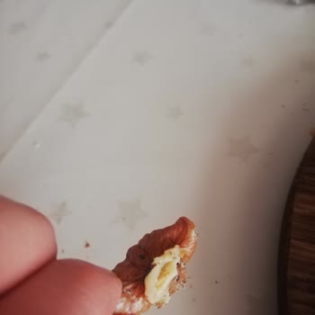 Tatbak Cevizlerde Nem ve Kurt Problemi!