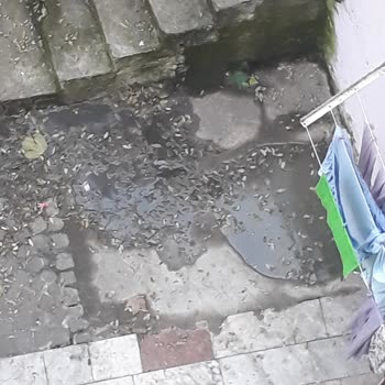 İBB - İstanbul Büyükşehir Belediyesi Fatih'te Kanalizasyon Çilesi!