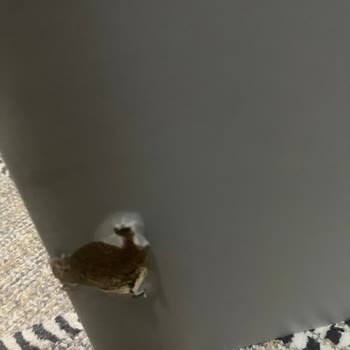 IKEA Arıza Bildirimi Ve Sonuçsuz Yanıt