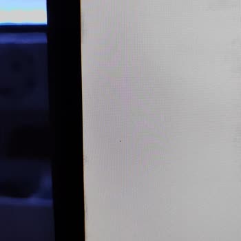 Viewsonic Ölü Piksel İle İlgili Hiçbir Şekilde İlgilenmemesi