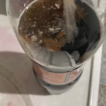 Migros'tan Alınan Didi Markalı Soğuk Çayın İçinden Çıkan Garip Şeyler