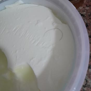 Sütaş Yoğurttan Kıl Çıktı