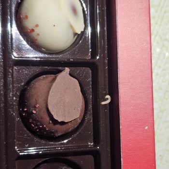 Çitlekçi Aldığımız Çikolatadan Kurt Çıktı