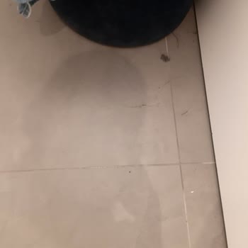 Mavi Agora Mavi Mağazası