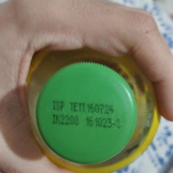 Fuse Tea İçinde Garip Parçalar