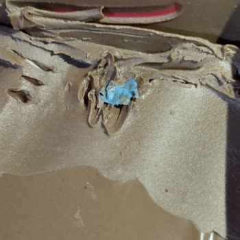 Torku Türkü Frema Plastik Çıktı