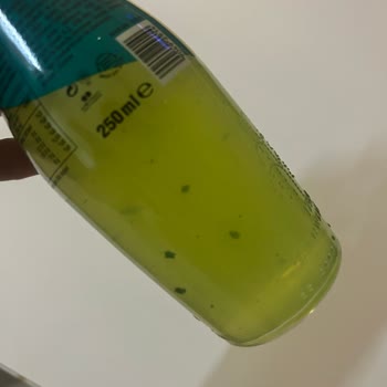 Schweppes Limonlu Gazozun İçerisindeki Yeşil Parçalar