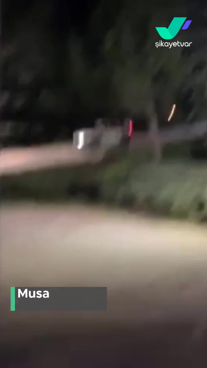 Denizli Büyükşehir Belediyesi Gece Ormanda Ateş Yakmak! videonun kapak resmi