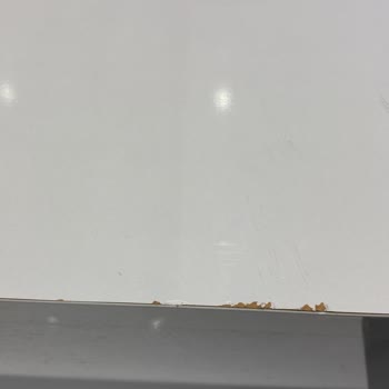 Bosch Yeni Kurutma Makinesinde Endişe Veren Ses!