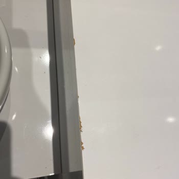 Bosch Yeni Kurutma Makinesinde Endişe Veren Ses!