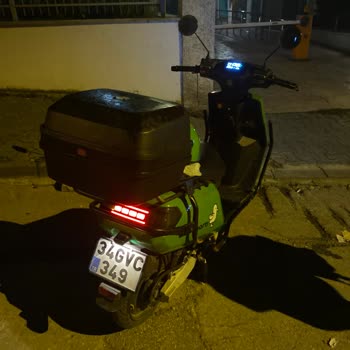 Martı Kask Yuvası Sorunu