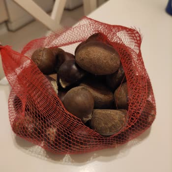 Onur Market'in At Kestanesi Satması