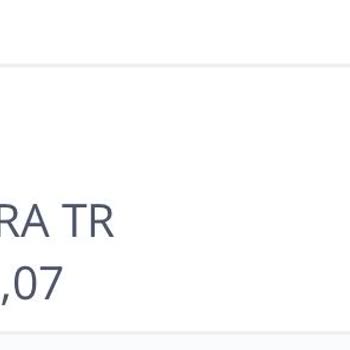 E-Devlet (Turkiye.gov.tr) Trafik Cezası Sorunu