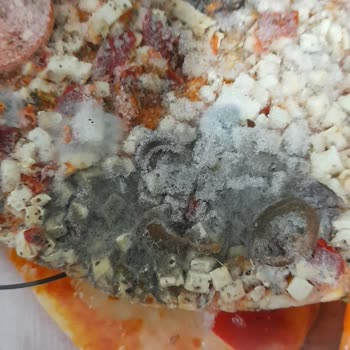 Pınar Et ve Süt Pizzada Kalite Kontrol Sorunu