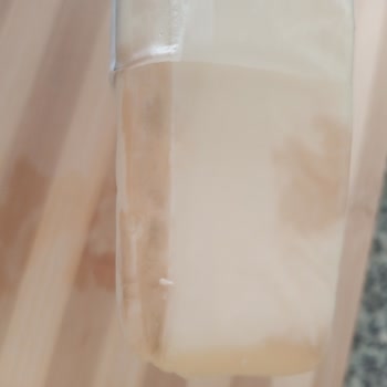 Balkaya Süt Ürünleri Tam Yağlı Kaşar Peyniri