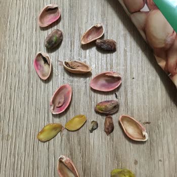 Amigo Gıda Mühendisleri Nerede, Bakanlık Nerede