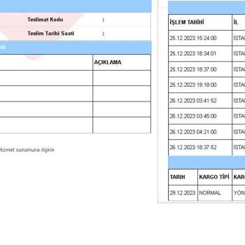 We World Express Aras Kargo Hangi Ürünü Taşıyor 3561942419249