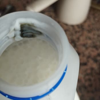 İçim Ayran Küflü Çıktı