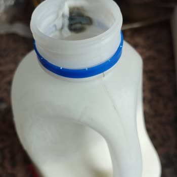 İçim Ayran Küflü Çıktı
