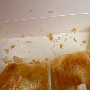 Levent Börekçilik İştahım Kaçtı Cidden
