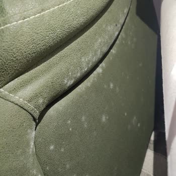 Bellona Kokan Koltuklar Ve Yayıldıkça Yayılan Küfler