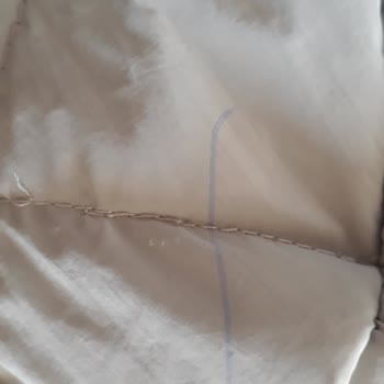 Antares Setrms Defolu Lekeli Ürün