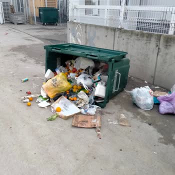 Çevreye Yayılan Migros Çöp Ve Karton Atıkları