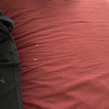 Chakra Kaz Tüyü Yorgan Tüyler Dışarı Çıkıyor Ağzımıza Giriyor!