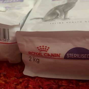 Mama Farklı Pazarama Kedim Yemiyor