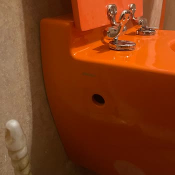 Sürekli Yaşanan Bocchi Klozet Kapağı Sorunu